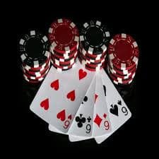 505bet8