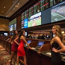 505bet8