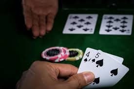 505bet8